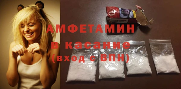сатива Беломорск