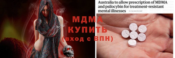 сатива Беломорск