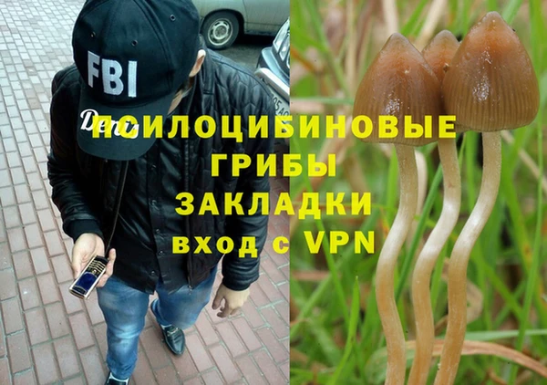 сатива Беломорск