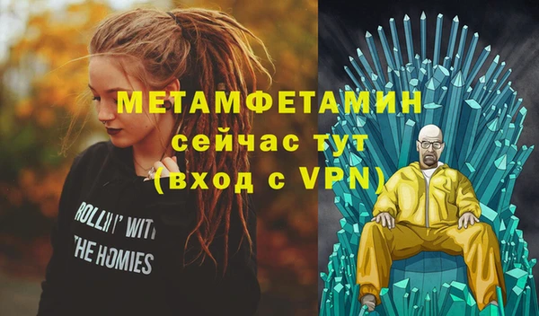 сатива Беломорск