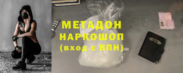 сатива Беломорск