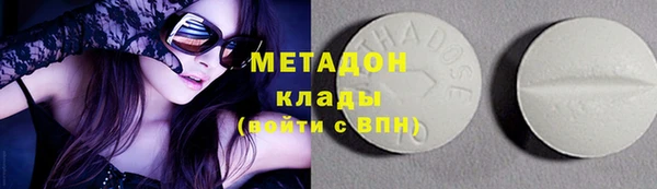 сатива Беломорск