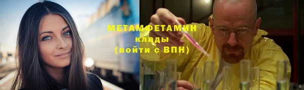 сатива Беломорск