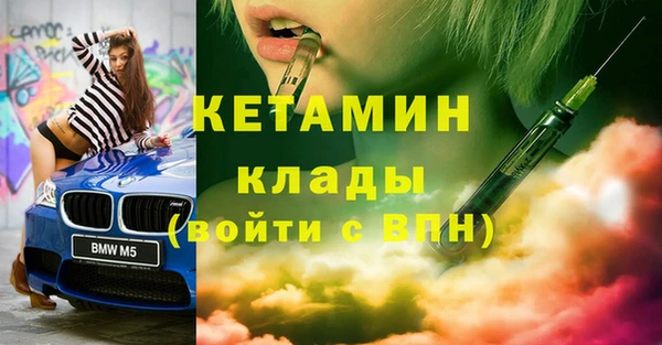 сатива Беломорск