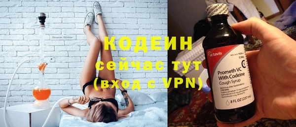 сатива Беломорск