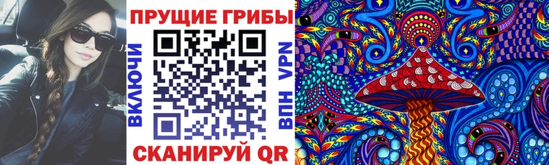 Псилоцибиновые грибы GOLDEN TEACHER  Окуловка 